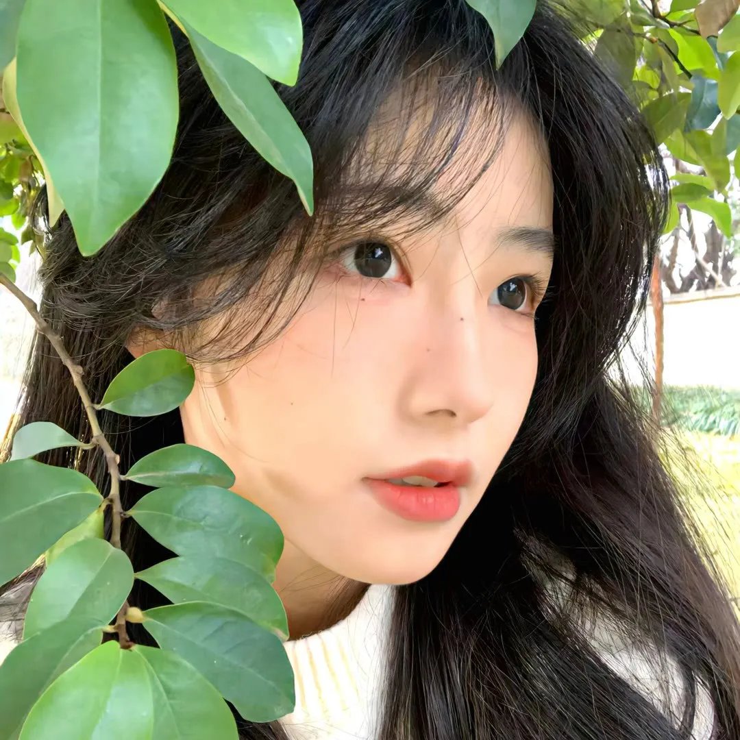 青春谎言之旅